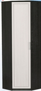 Шкаф для одежды угловой ДЛЯ ГОСТИНОЙ ШОУ-695 Венге/Дуб выбеленный в Канске - kansk.mebel54.com | фото