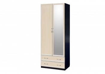 Шкаф для платья и белья 2-х дверный с профилем МДФ с 1 зеркалом Венге/Дуб выбеленный в Канске - kansk.mebel54.com | фото