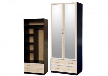 Шкаф для платья и белья 2-х дверный с профилем МДФ с 2 зеркалами Венге/Дуб выбеленный в Канске - kansk.mebel54.com | фото